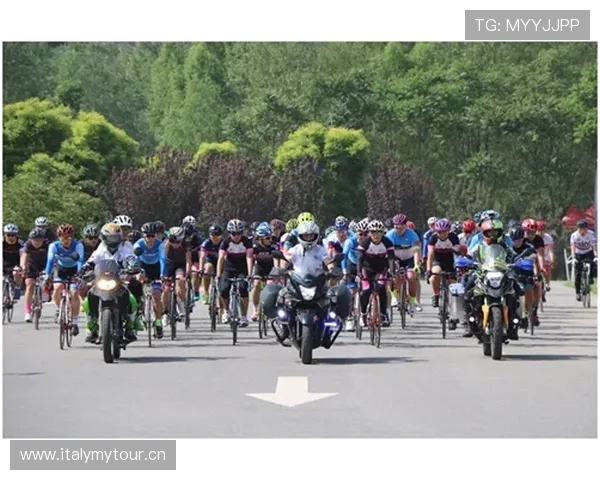 聚焦全国体育动态发展趋势与赛事创新全面观察及群众体育融合新格局探索 - 副本 - 副本 (3) - 副本