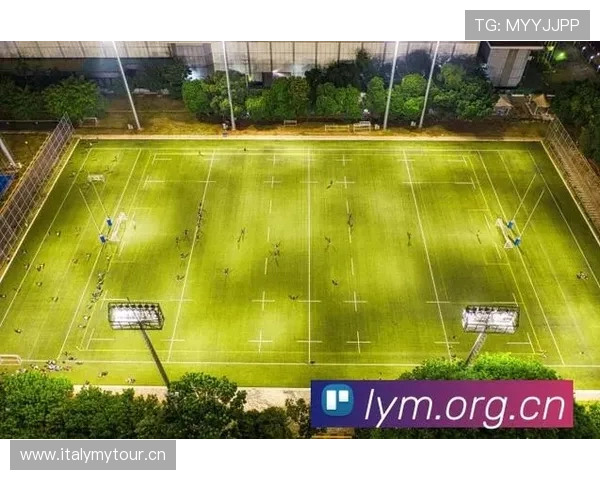 世界杯直播平台全攻略 如何畅享全球赛事精彩瞬间 - 副本 - 副本 - 副本